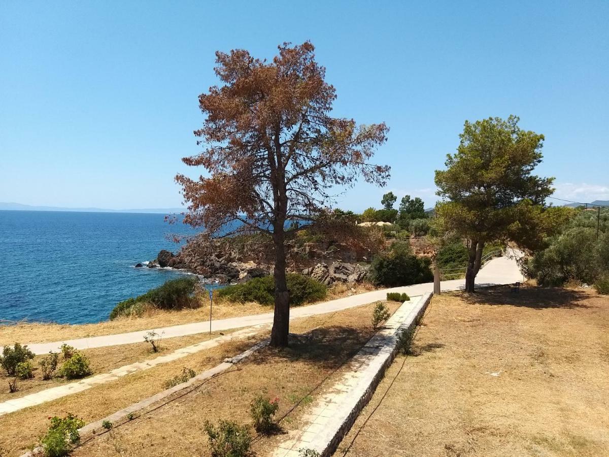 Stoupa Properties Hébergement de vacances *